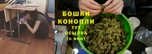 прущий лед Богданович