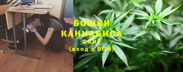дмт Белокуриха