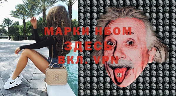 дмт Белокуриха