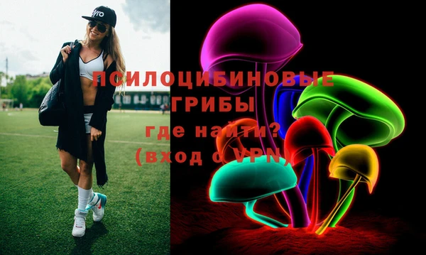 герыч Богородск
