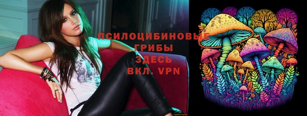дмт Белокуриха