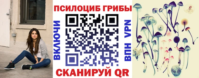 Галлюциногенные грибы Psilocybe  Купить закладки  Цимлянск 